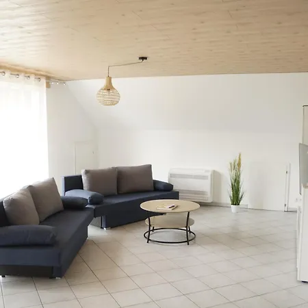 Ferienwohnungen Zur Elz - Traumhafte 160 Qm Wohnung Mit Pool Und Garten Naehe Des Europaparks Каппель-Графенхаузен Экстерьер фото